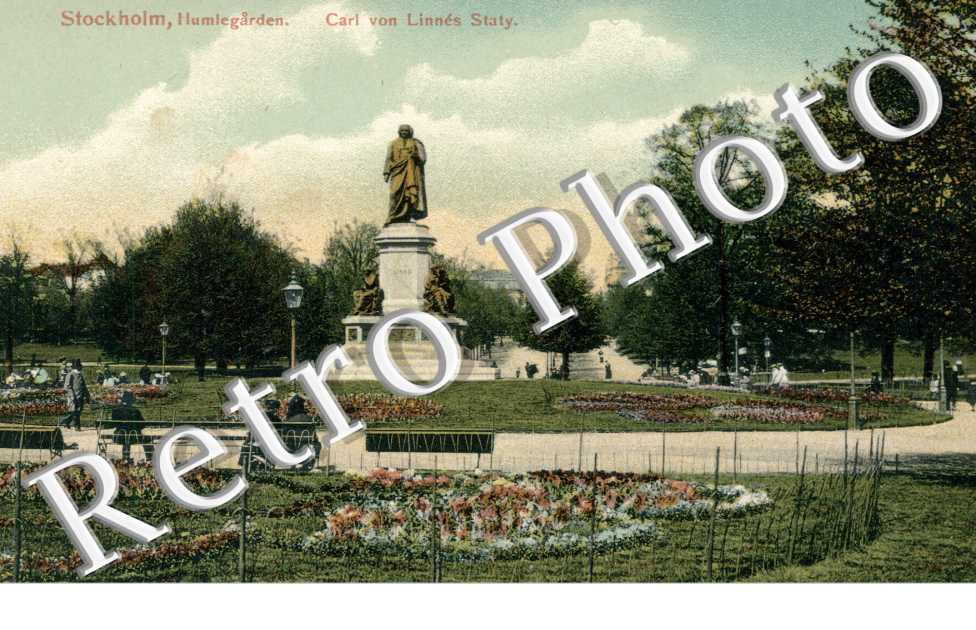 Carl von Linnés Staty