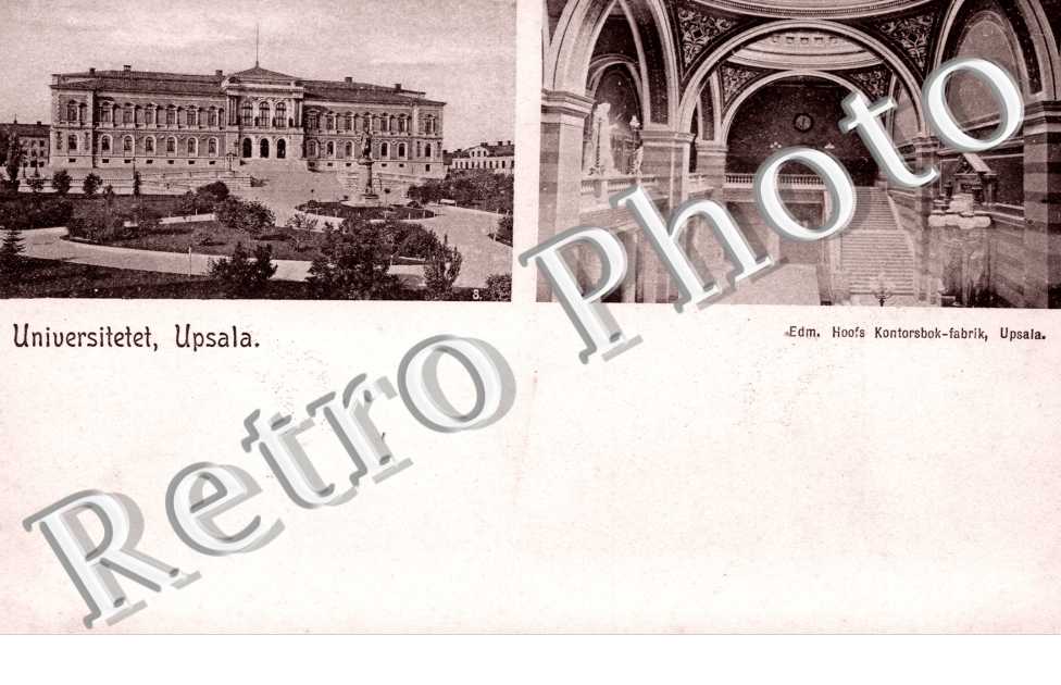 Universitet