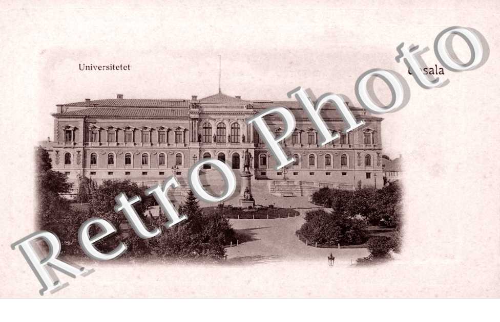Universitet