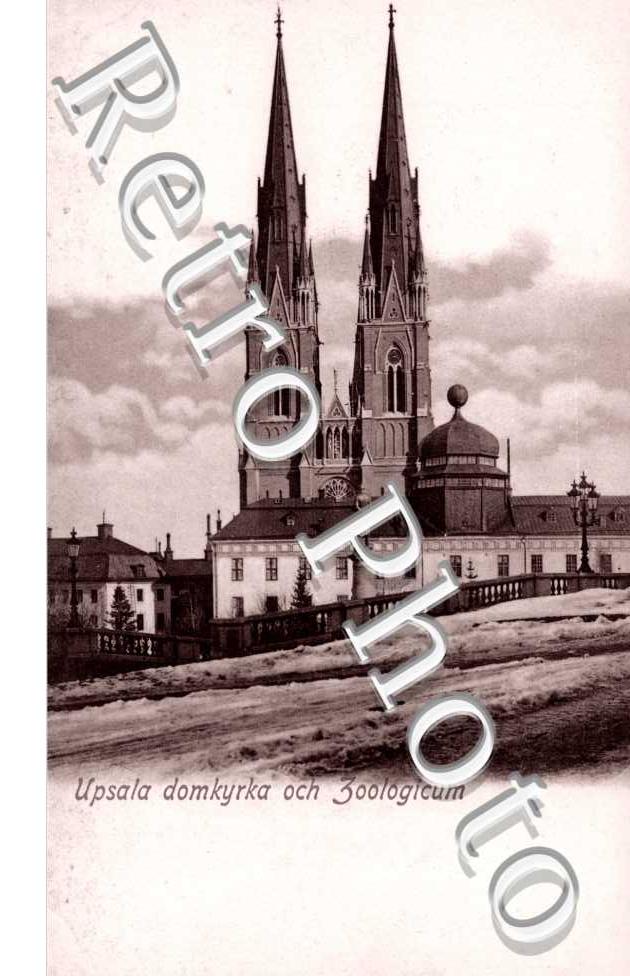Domkyrka och Zoologicum