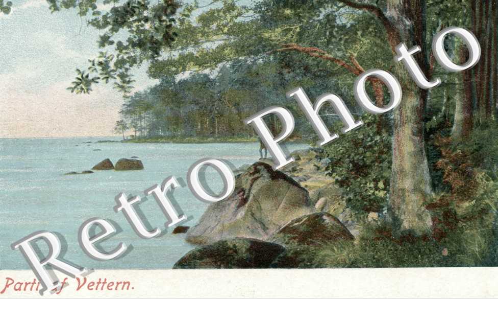Parti af Vettern