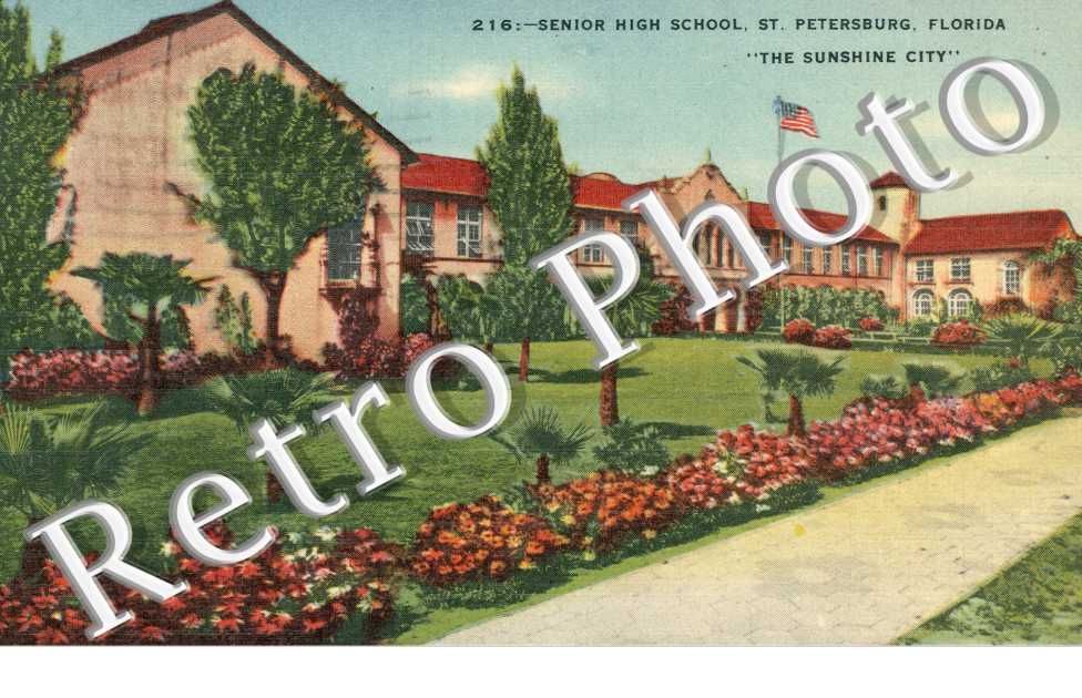 Senior High School, the Sunshine City