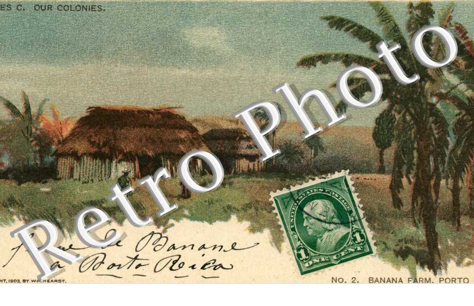 Banana Farm