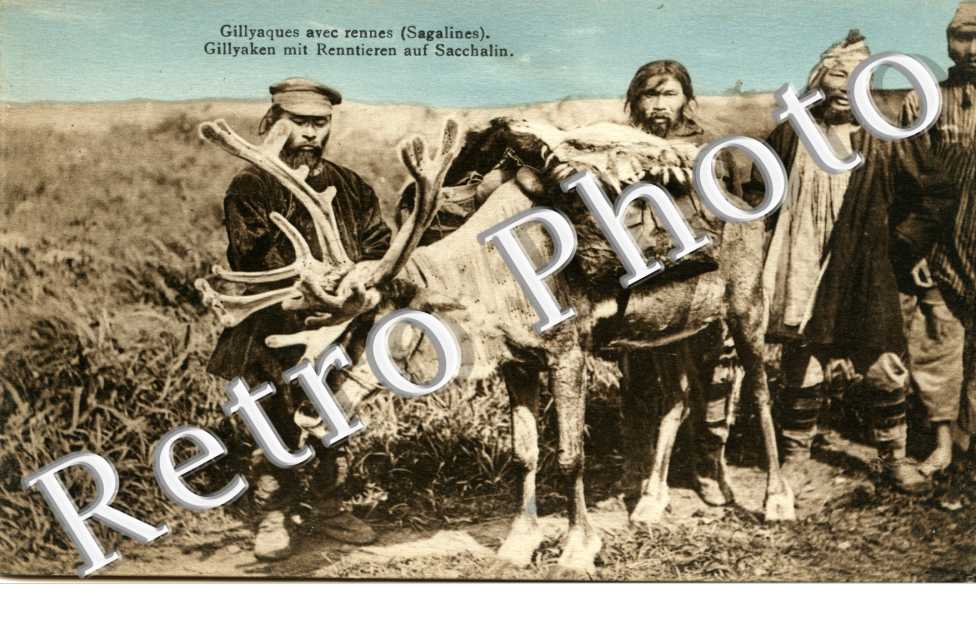 Gillyaques avec rennes