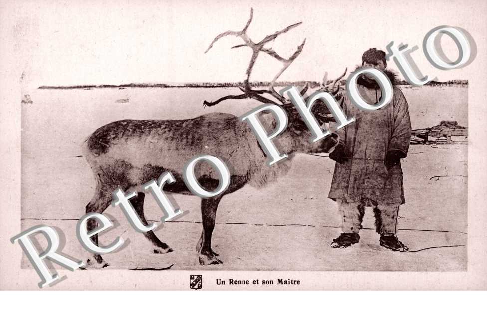 Un Renne et son maitre