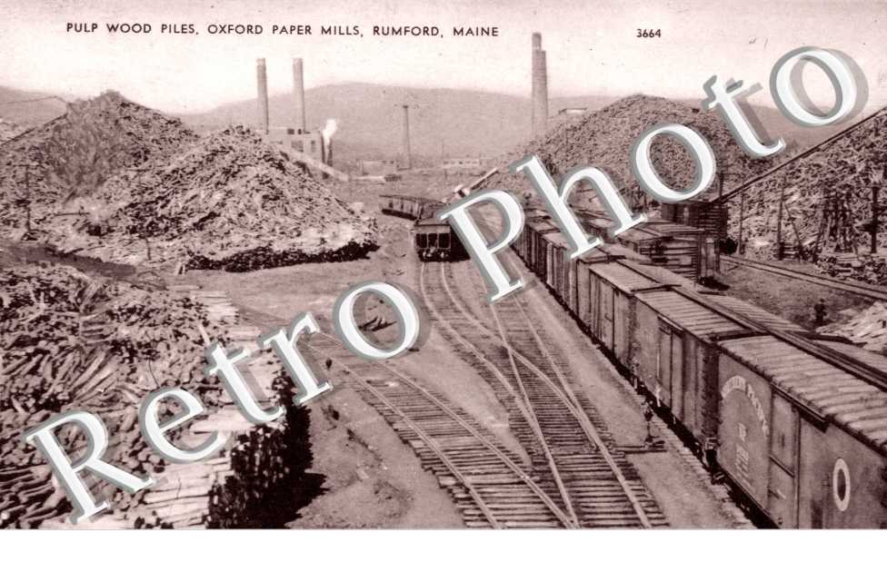 Pulp wood piles, oxford paper mills