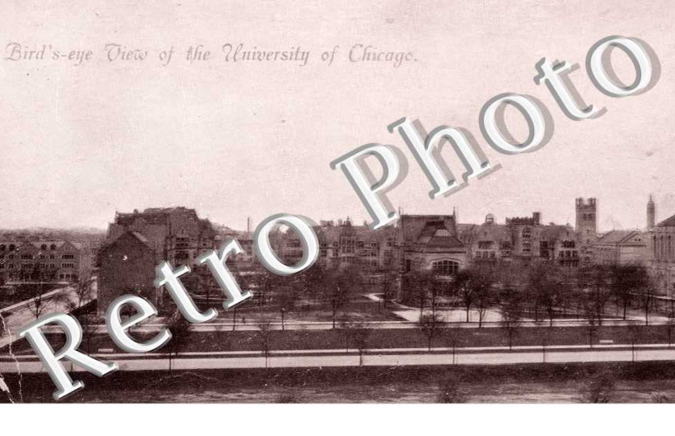 Bird's Eye view of the University of Chicago