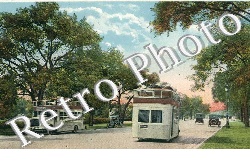 Double Deck Motor Busses on Lincoln Park drive
