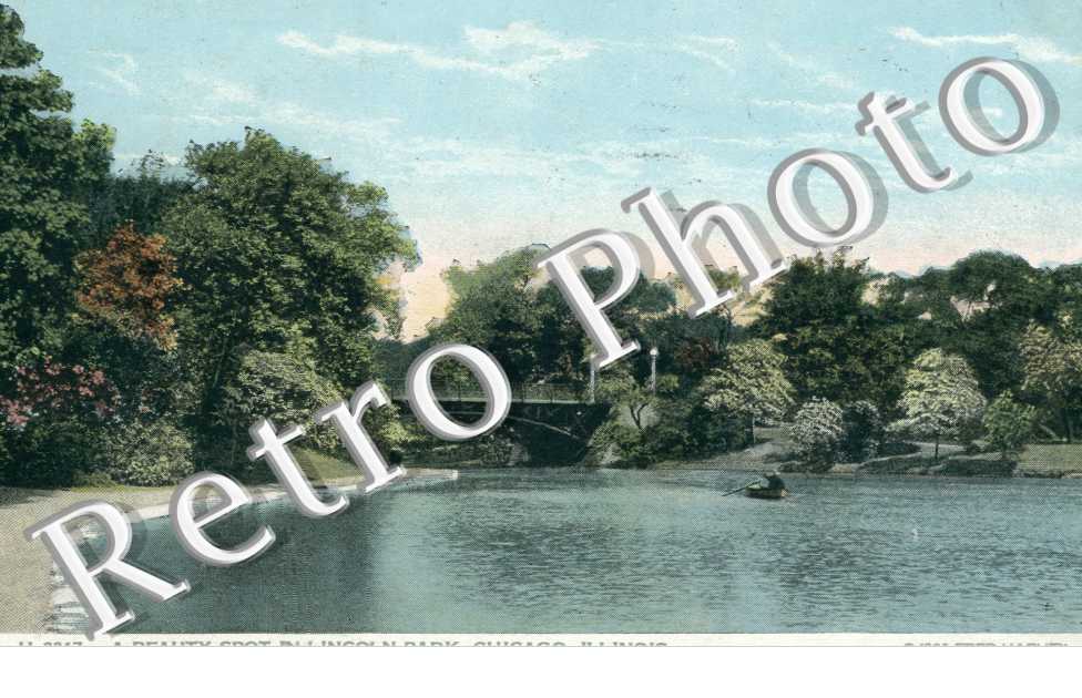A beauty Spot in Lincoln Park