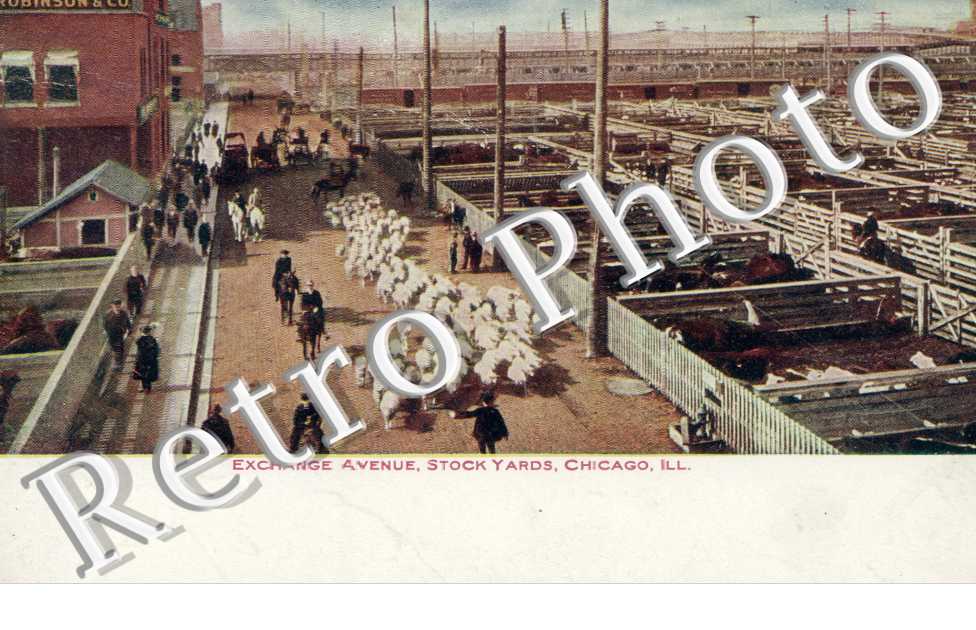 l'Exchange avenue, Stock yards