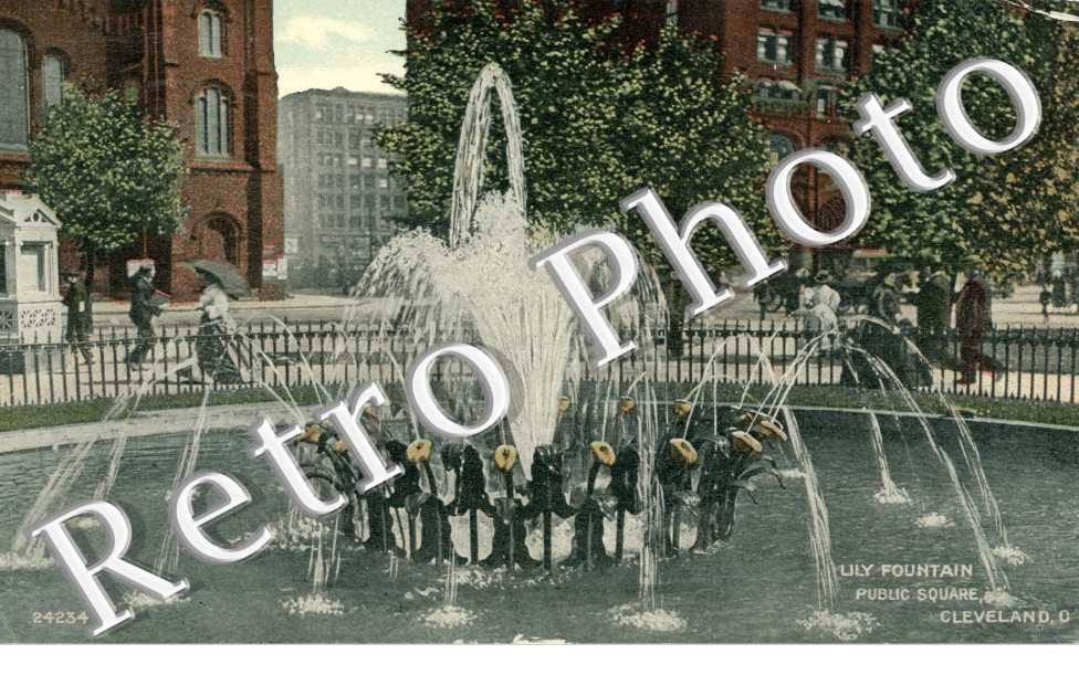 Lily Fountain