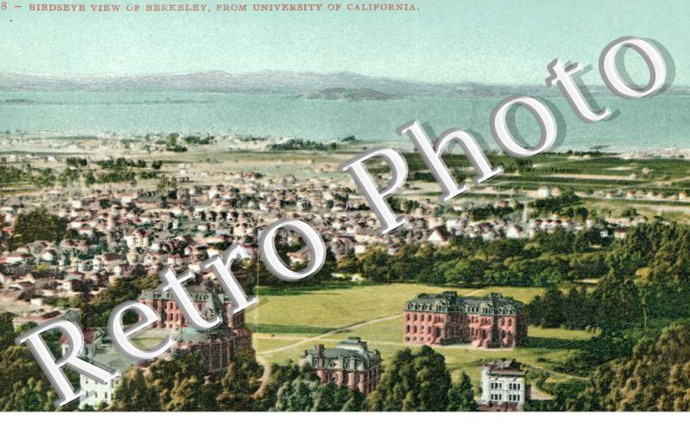 Birdseye, from University