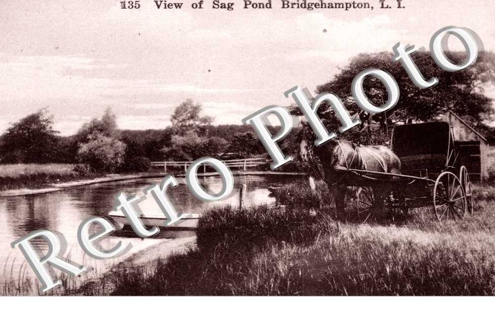 View of Sag Pond