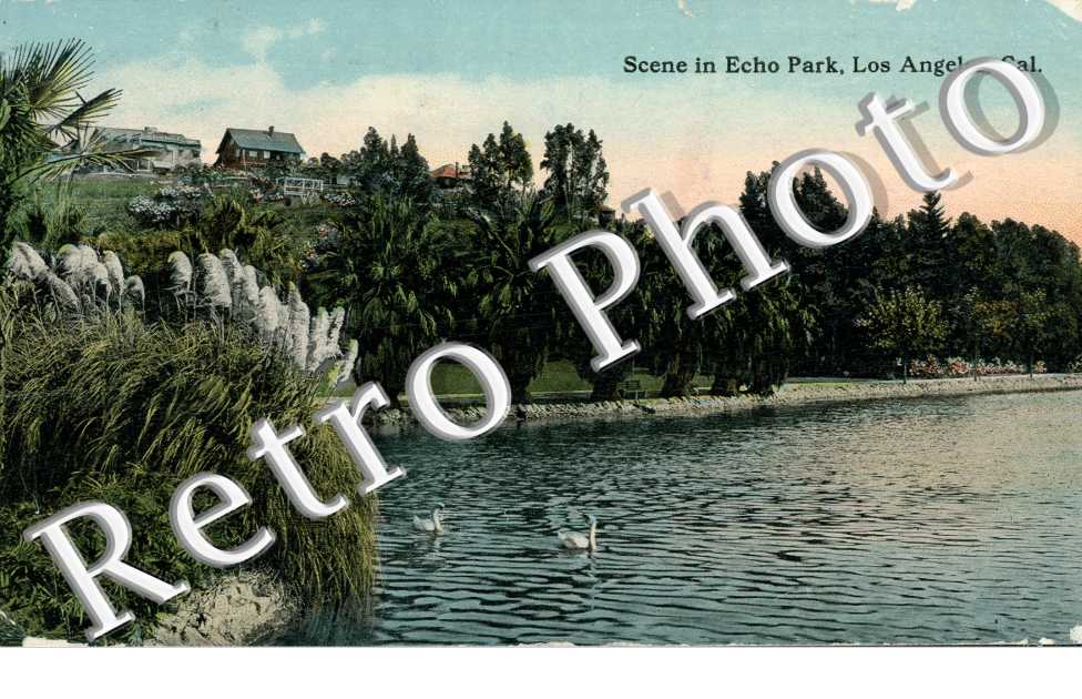 Scene in Echo park