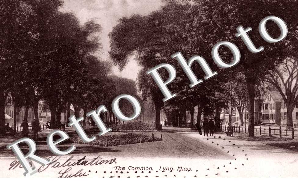 The Common