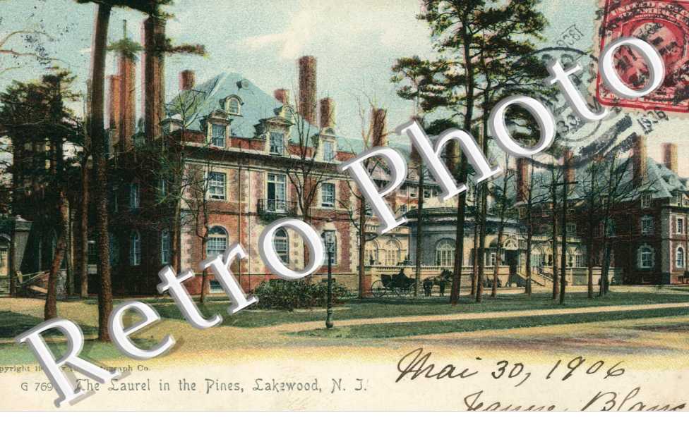 The Laurel in the Pines
