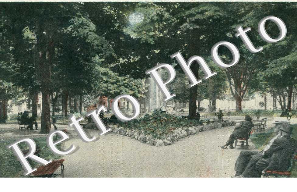 Bronson Park