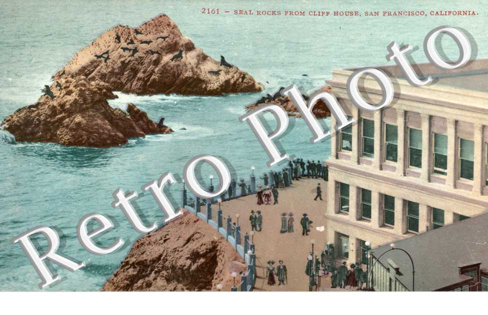 Seal rocks from Cliff House