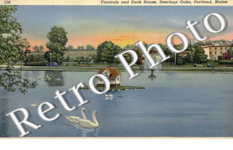 fountain and Duck House