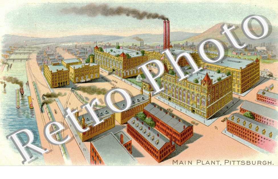 main plant