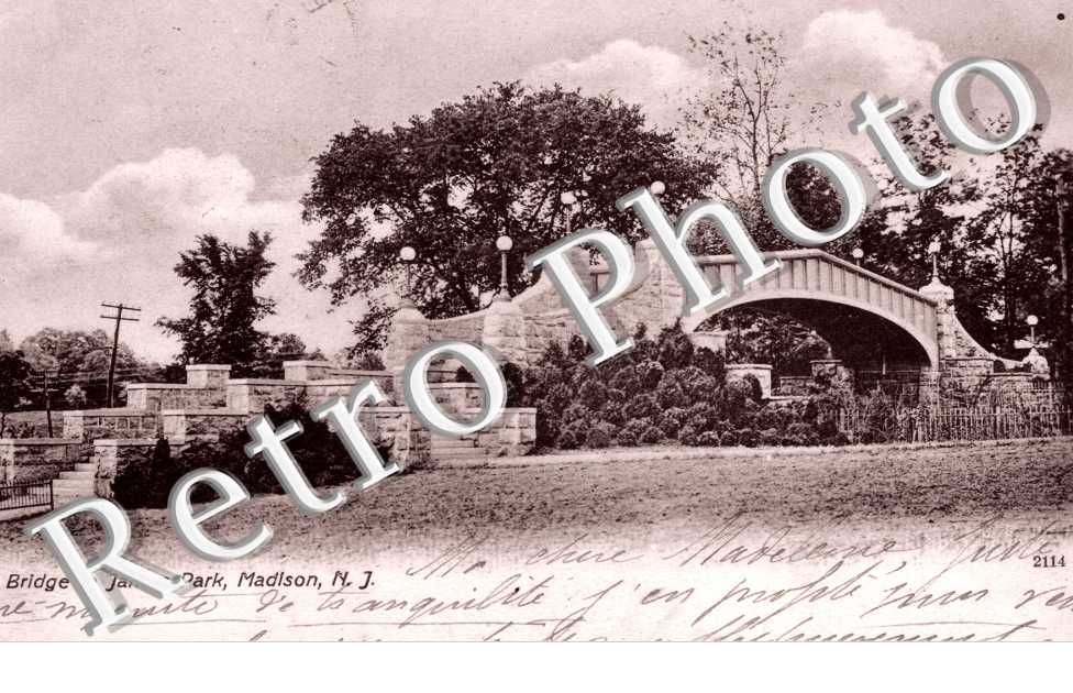 Bridge in James Park