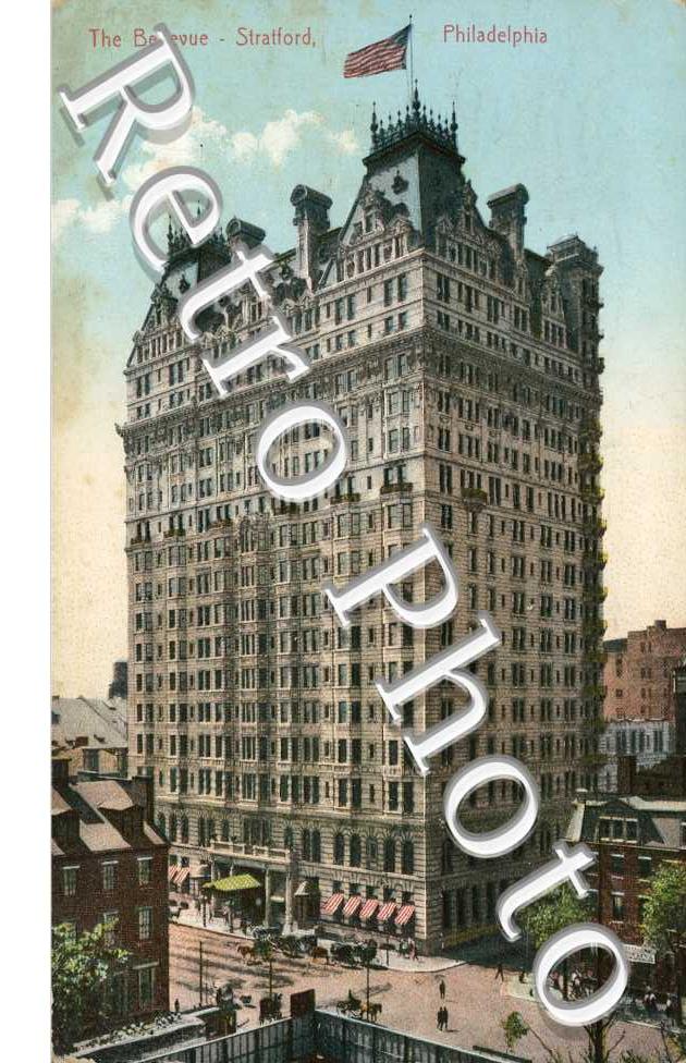 The Bellevue