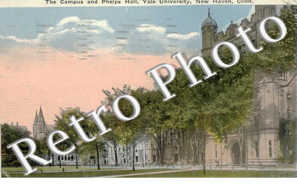 the campus and Phelps hall