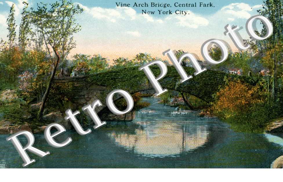 Vine Arch Bridge Central park