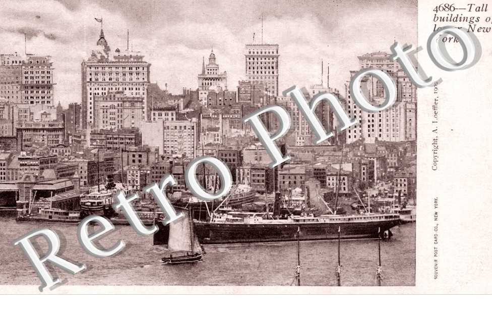 Tall buildings of lower New York