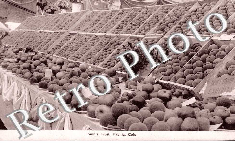 Paonia Fruit