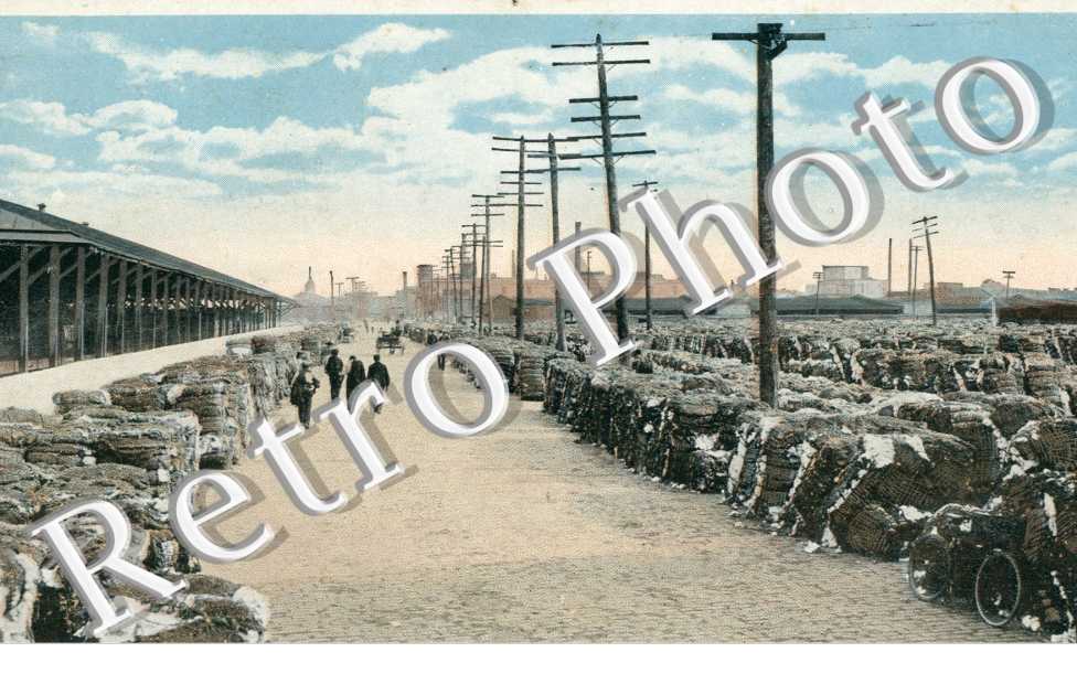 Cotton scene of GA. O.S.S co's. yards