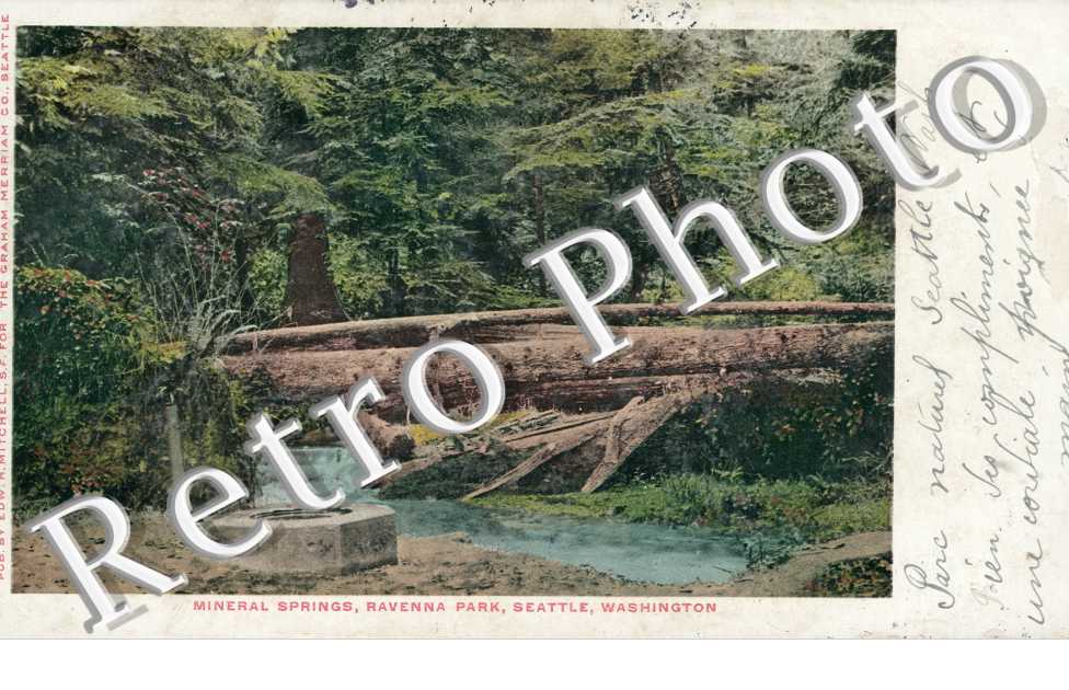 Mineral springs, Ravenna Park