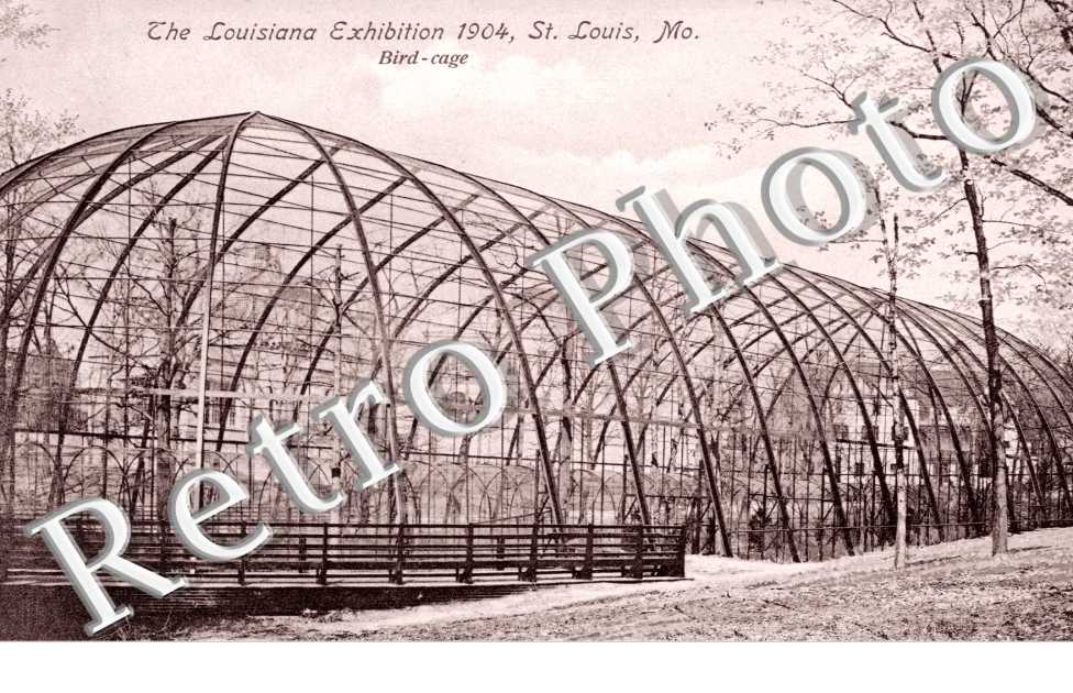 The Lousiana Exhibition 1904, Bird-cage