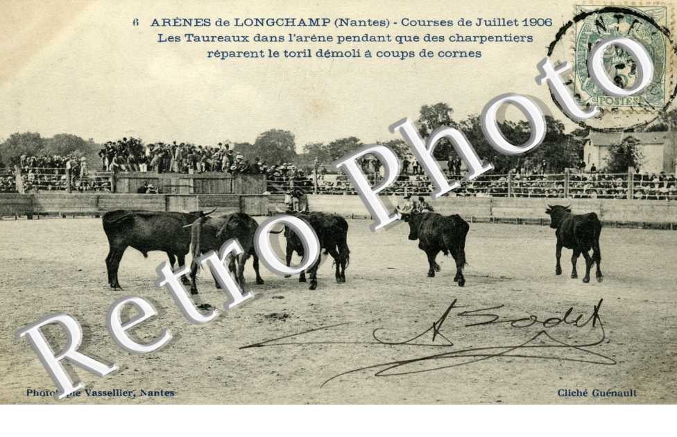Arenes de Longchamp Courses de juillet 1906 Les taureaux dans l'arebe pendant que des charpentiers reparent le toril demoli a coups de cornes.