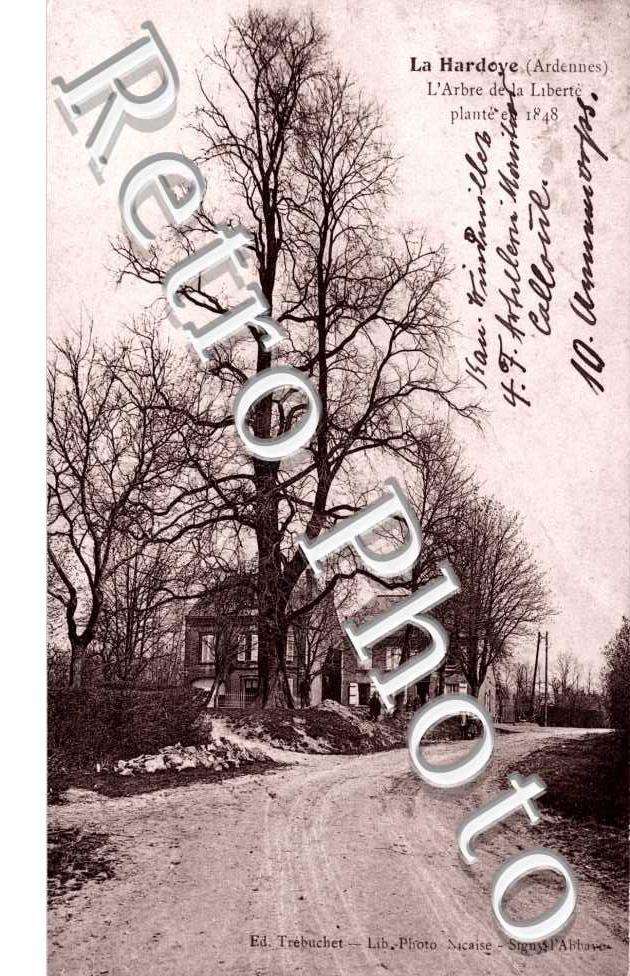 La Hardoye  L'arbre de la liberte plante en 1848