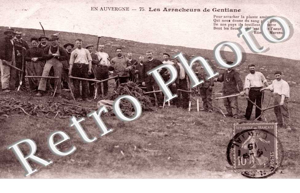 Les Arracheurs de Gentiane