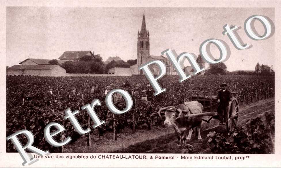 une vue des vignobles du Chateau-Latour a Pomerol  -  Mme Edmond Loubat Prop.