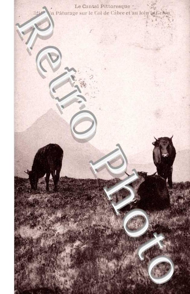 un paturage sur le col de Cabre et au loin le Griou