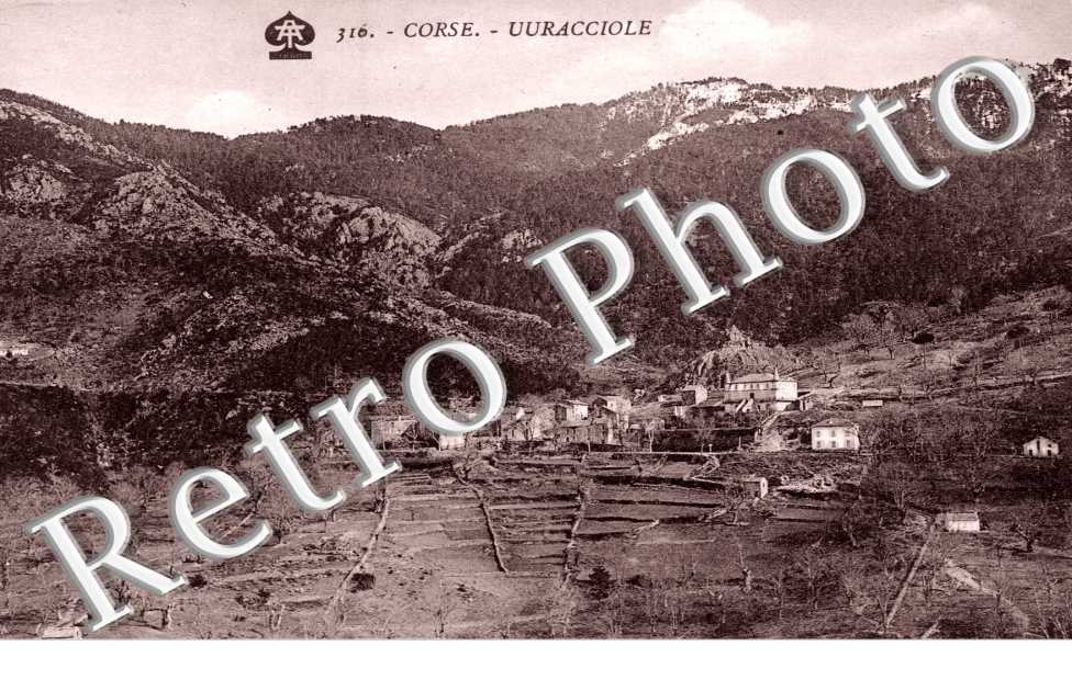 Uuracciole