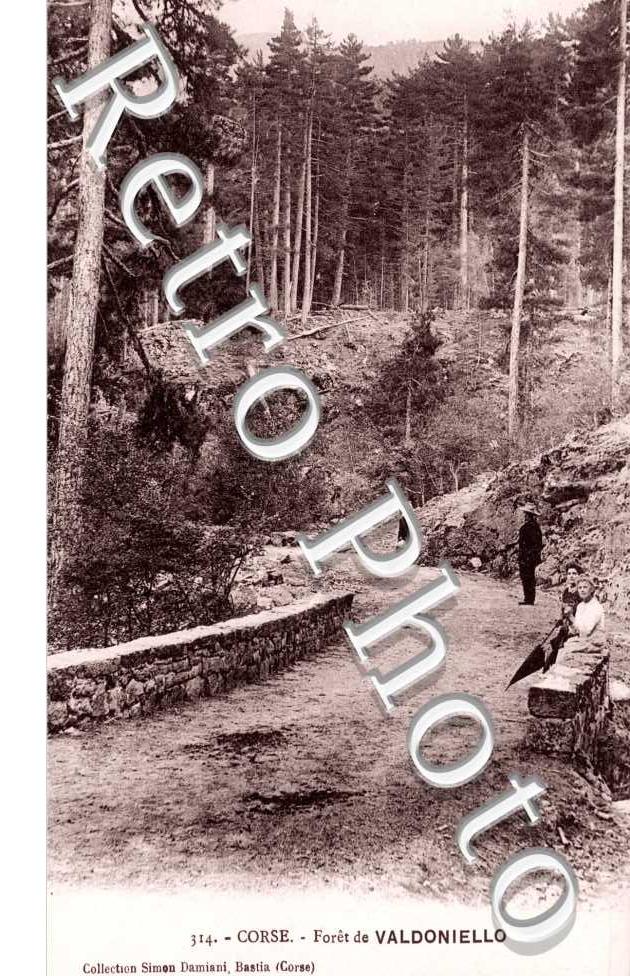 Foret de Valdoniello