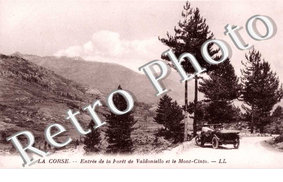 entree de la foret de Valdoniello et le Mont-Cinto