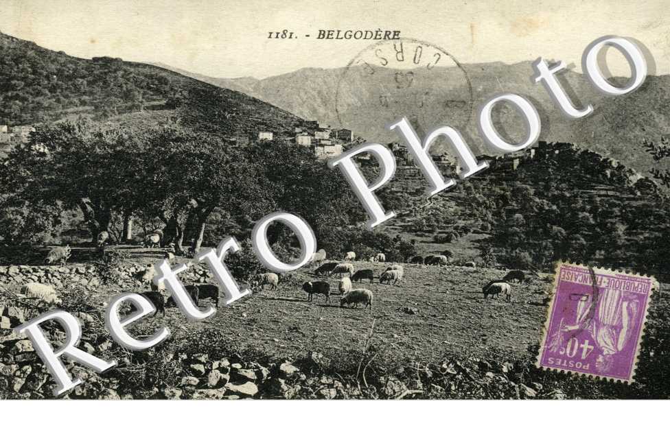 (vue d'ensemble)
