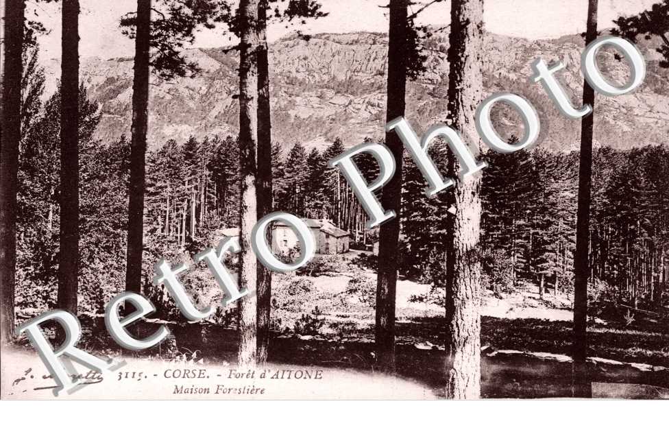 Foret d'Aitone - maison forestiere