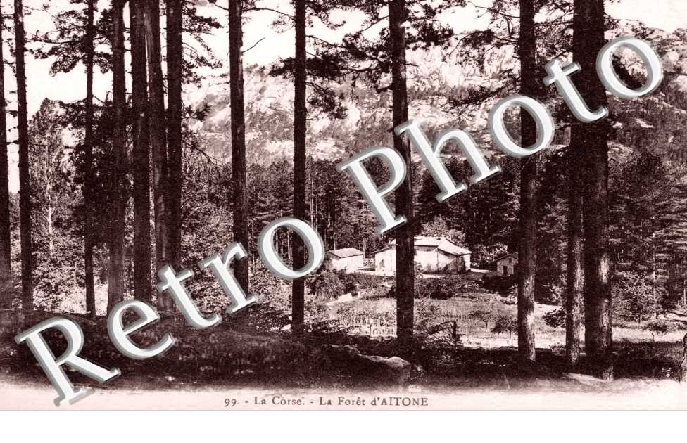 Foret d'Aitone
