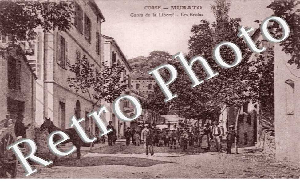 cours de la liberte Les ecoles