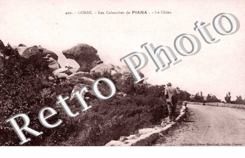 Calanches - le chien