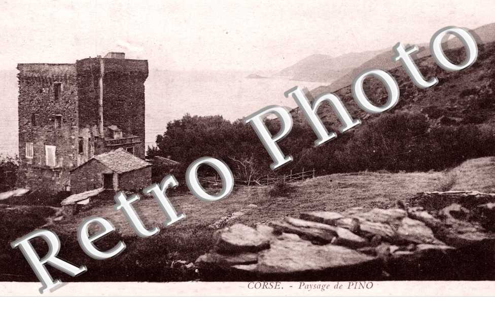 Paysage