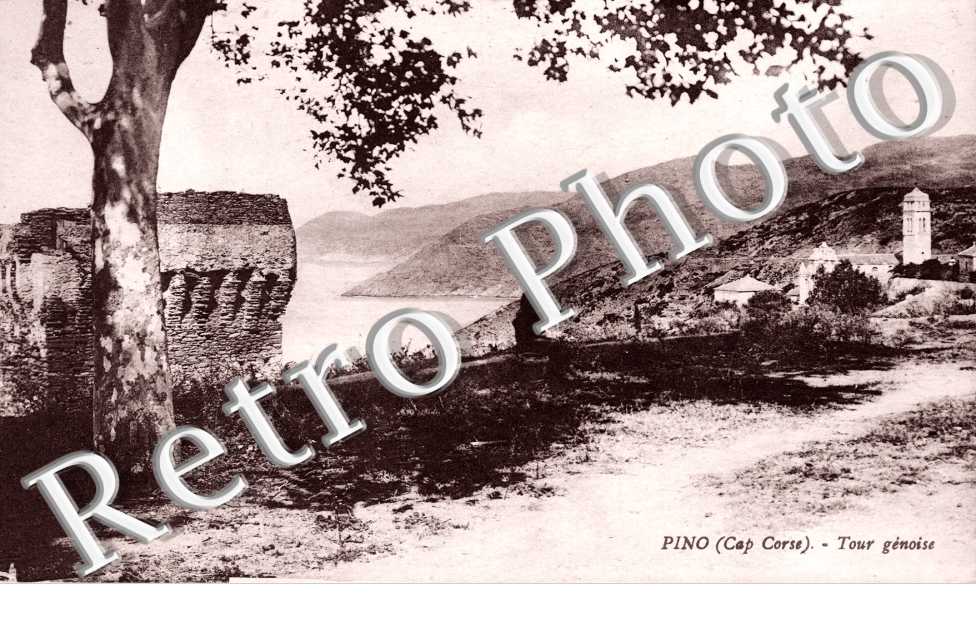 Tour genoise