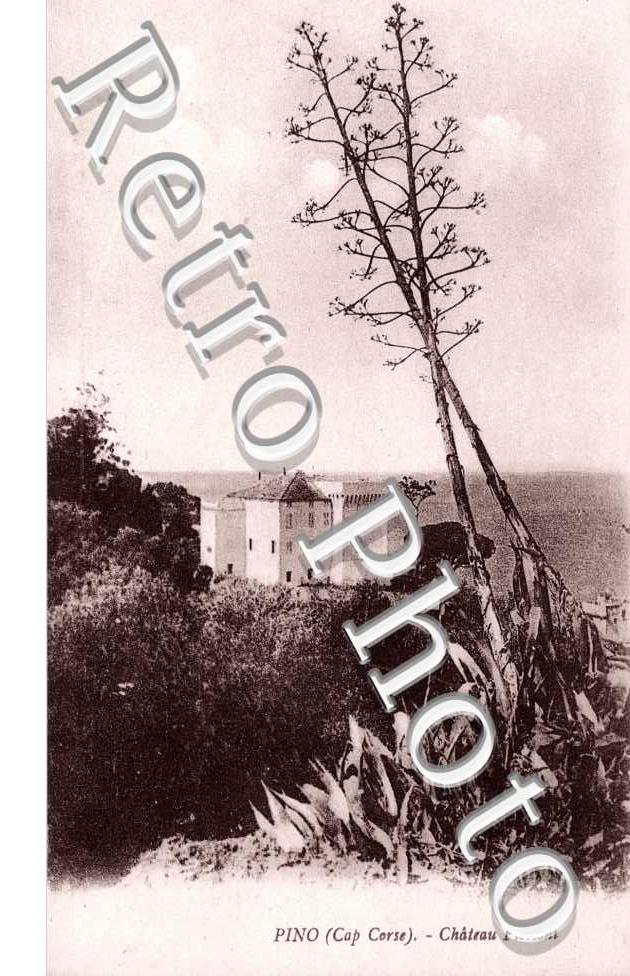 Chateau Piccioni