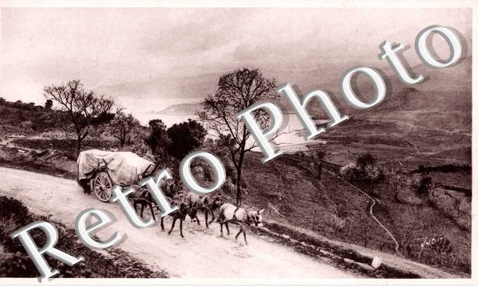 Paysage Corse